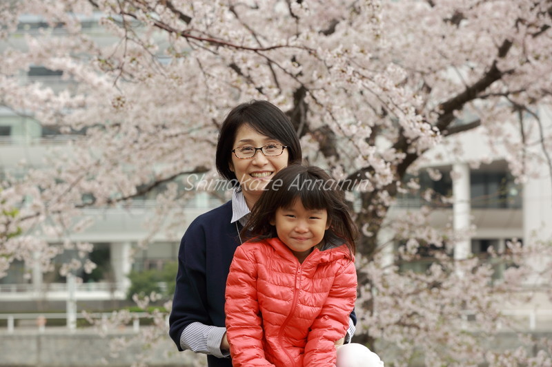 桜満開です♪2016年4月 _e0354775_21063498.jpg