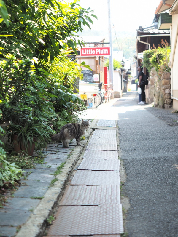 直島へ1　＜ 宮浦港～銭湯＞_c0254479_2219491.jpg