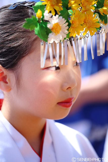 加太春日神社「えび祭り」2016（その1）_e0271181_11370224.jpg