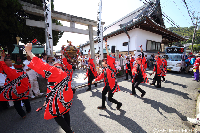 加太春日神社「えび祭り」2016（その1）_e0271181_11551117.jpg