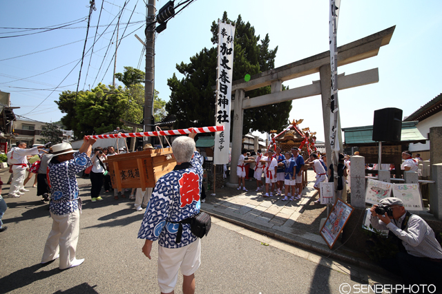 加太春日神社「えび祭り」2016（その1）_e0271181_12331077.jpg