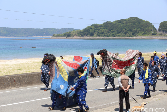 加太春日神社「えび祭り」2016（その1）_e0271181_12491977.jpg