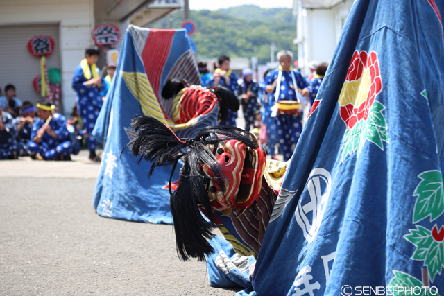 加太春日神社「えび祭り」2016（その1）_e0271181_12523202.jpg