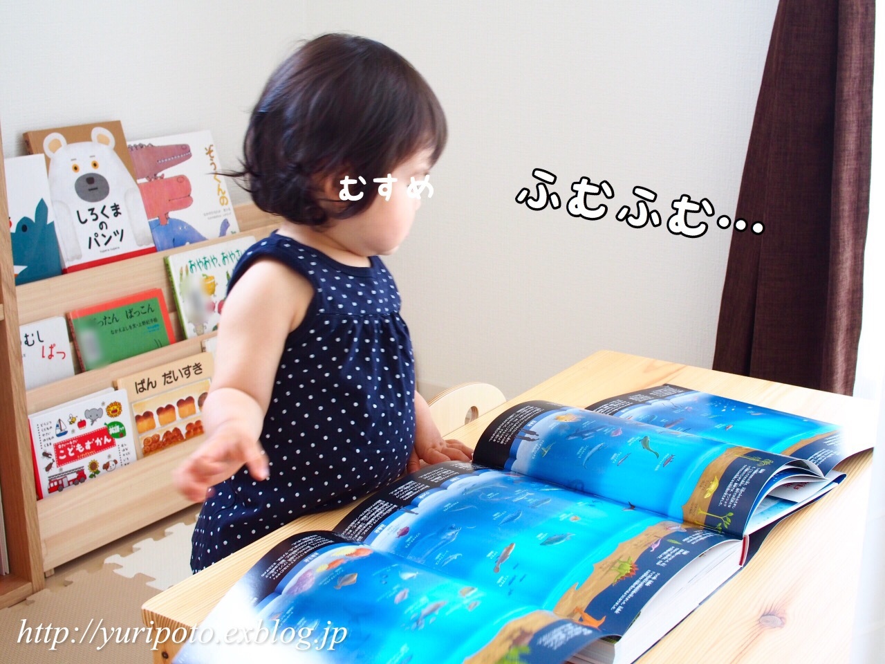 1歳6ヶ月 娘の魚ブーム 図鑑を購入 ゆりぽんフォト記 1歳6ヶ月 娘の魚ブーム 図鑑を購入 ゆりぽんフォト記