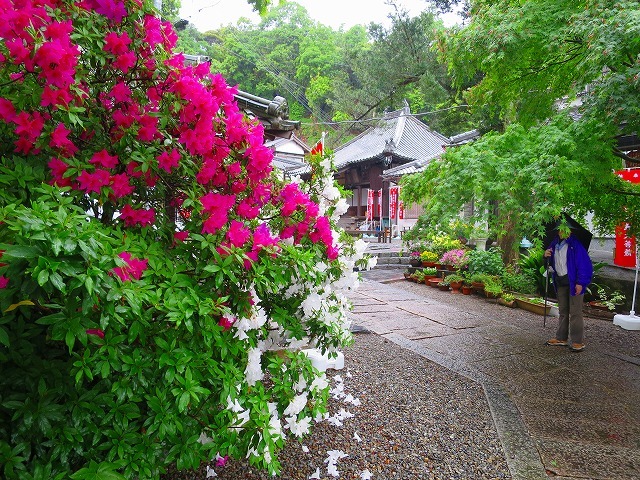 熊野古道・紀伊路　伊太祈曽～藤白へ　海南市の日限さん_b0326483_11443298.jpg