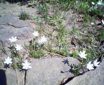 f0078286_9435546.jpg