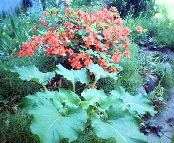 f0078286_9454220.jpg