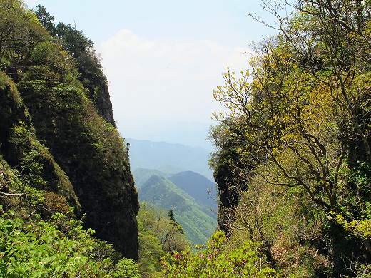 大峰小桜咲く稲村ケ岳でSOTA移動　SOTA　JA/NR-004_f0073587_2341836.jpg