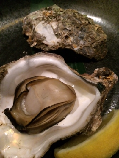 a0113889_1733130.png