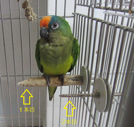 f0234590_1185066.png