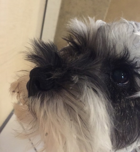b0188998_20185251.jpeg
