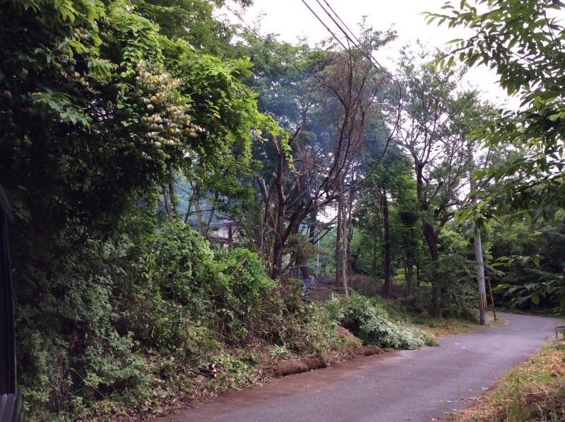 b0220002_19444815.jpeg