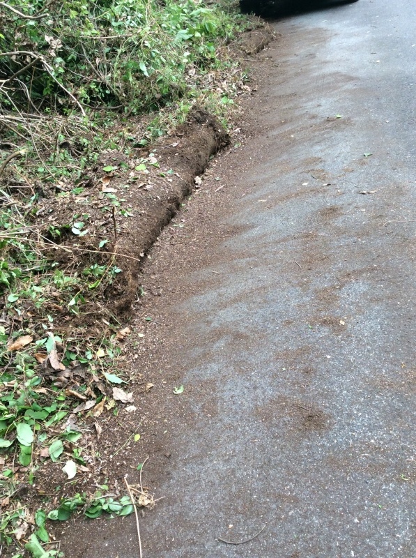 b0220002_20071989.jpeg