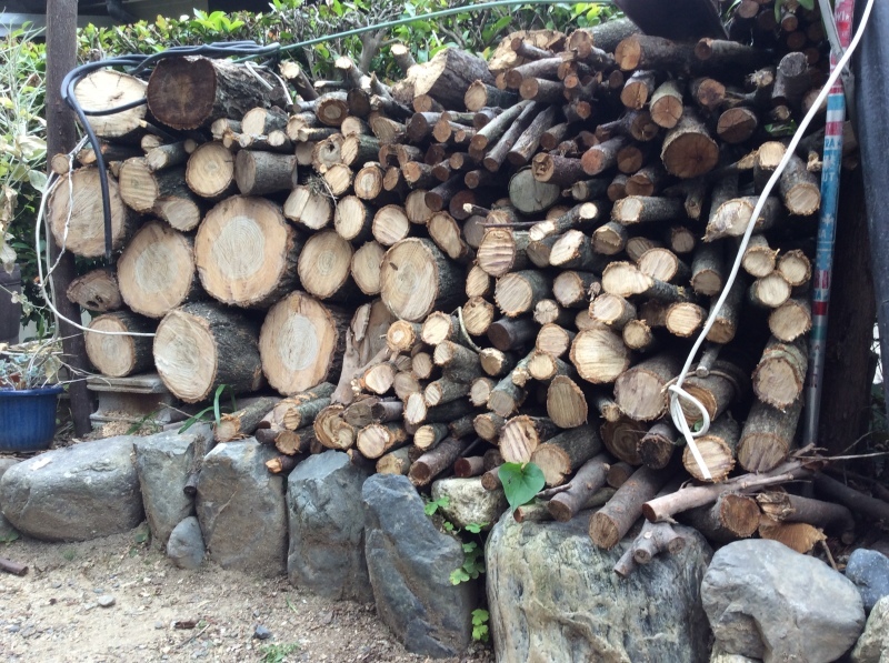 b0220002_20120372.jpeg
