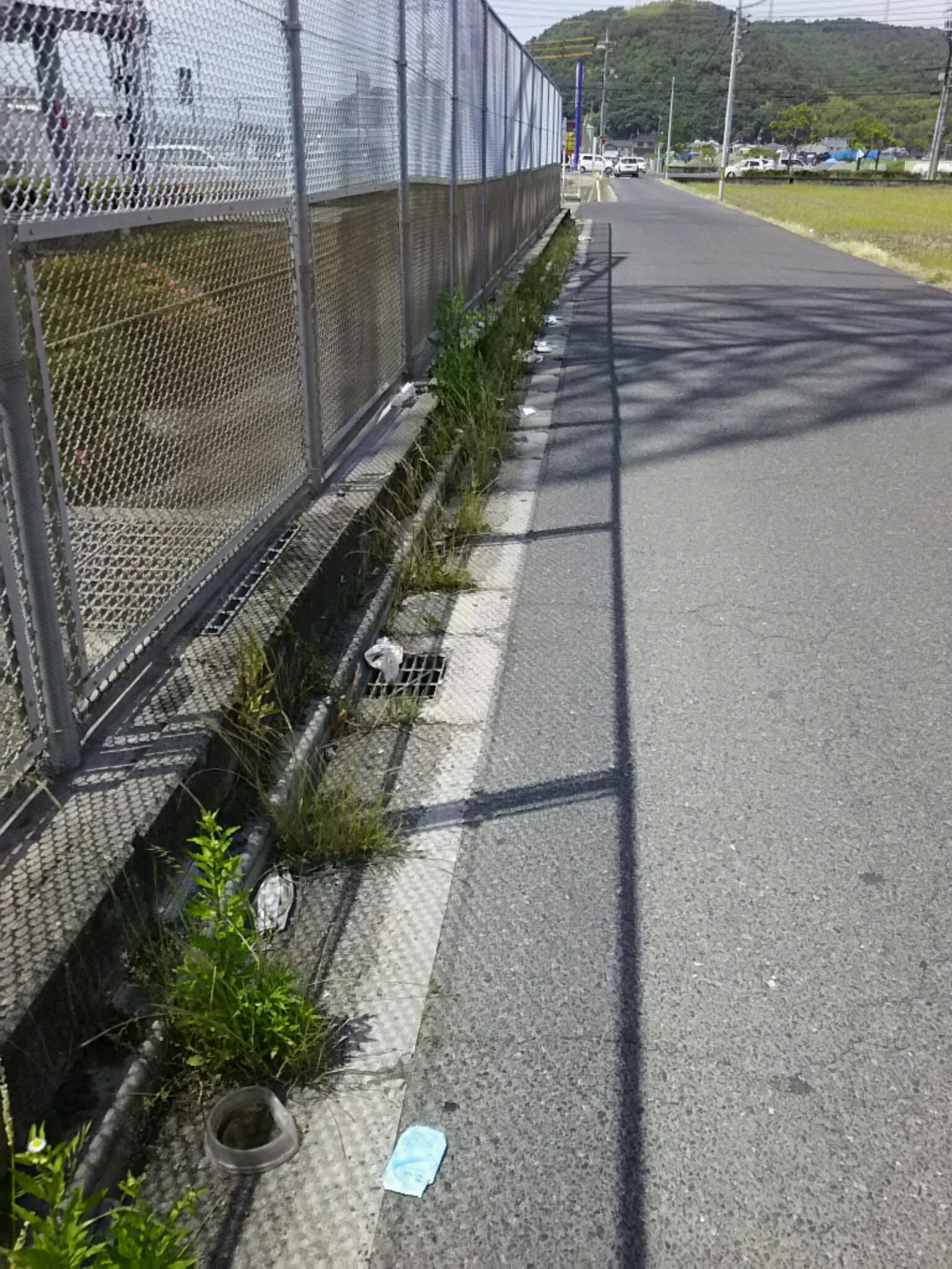 f0197703_11230515.jpg