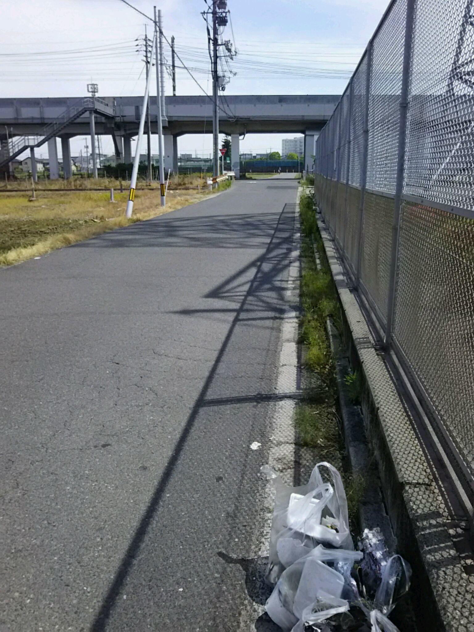 f0197703_11252442.jpg