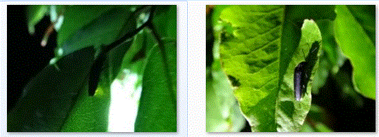 f0231709_14495554.gif