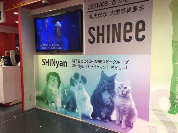 Shineeデビュー8周年 パセラ タワレコ おはけねこ 外国探訪 Shineeデビュー8周年 パセラ タワレコ おはけねこ 外国探訪