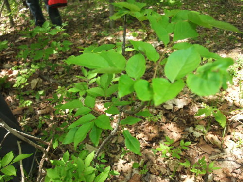 c0173813_21422005.jpg