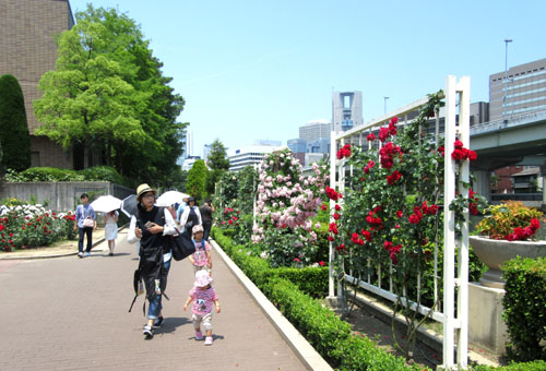 大阪 中の島公園_e0048413_17295924.jpg