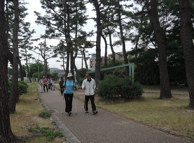 f0223914_20295092.jpg