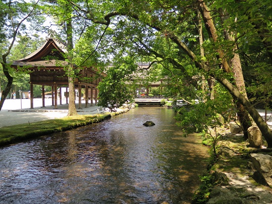 c0192215_18115515.jpg