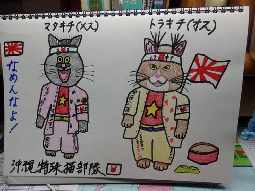 沖縄特殊猫部隊!?_f0178416_14283555.jpg