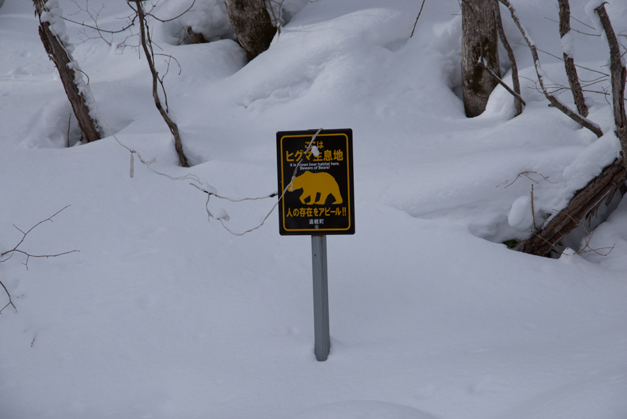f0361118_16250527.jpg