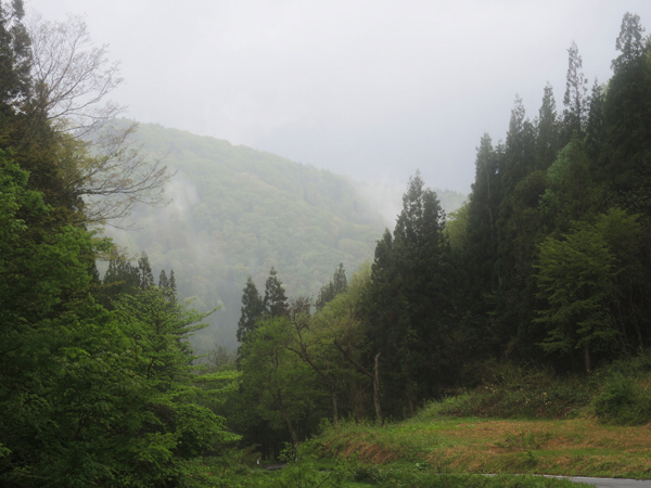 c0346119_17040244.jpg