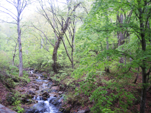 c0346119_17040285.jpg