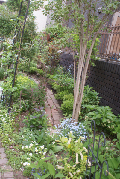 f0170524_07363116.jpg
