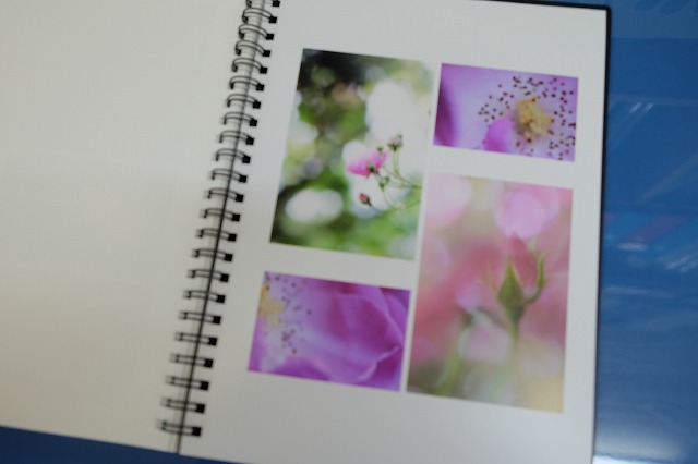 今回のにほへと講習会のフォトブックできた!_f0221724_1813310.jpg