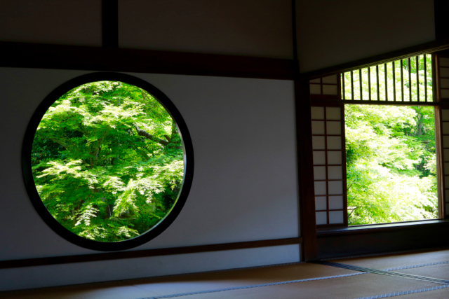 新緑の京都旅行 - 1 -_f0348831_22212977.jpg