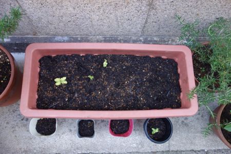 f0068334_20123260.jpg
