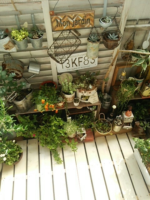 c0267235_17501516.jpg