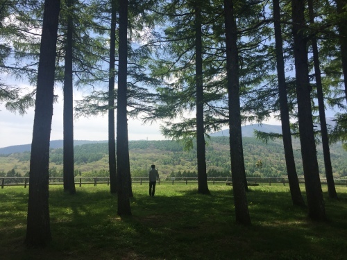 b0330040_21480620.jpeg