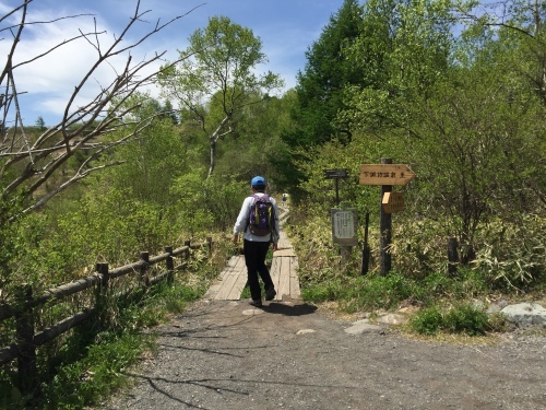 b0330040_22234461.jpeg