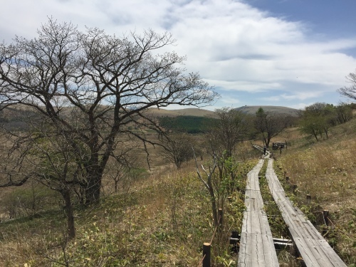 b0330040_22274126.jpeg