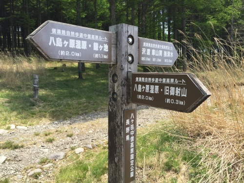 b0330040_22501120.jpeg