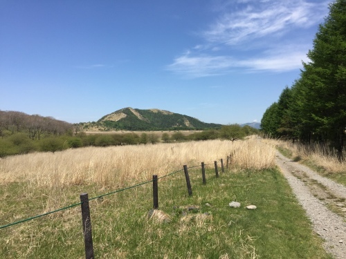 b0330040_22530771.jpeg
