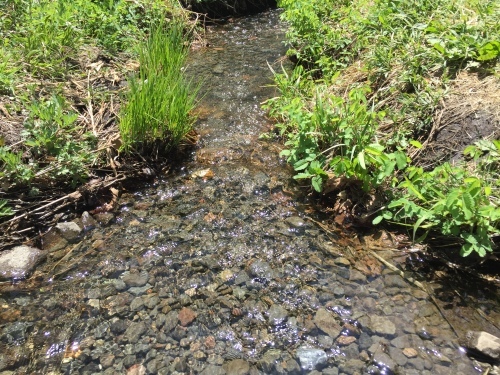b0330040_22571508.jpeg