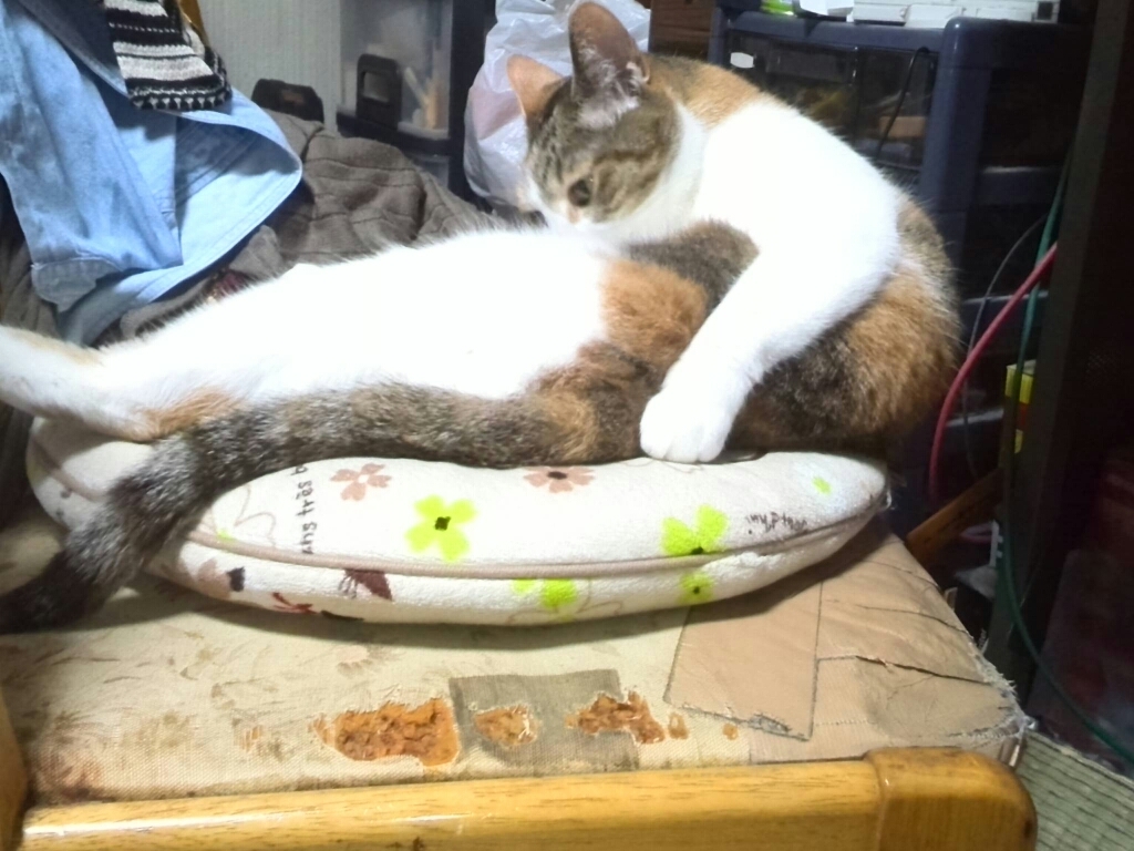 c0194042_11381365.jpg