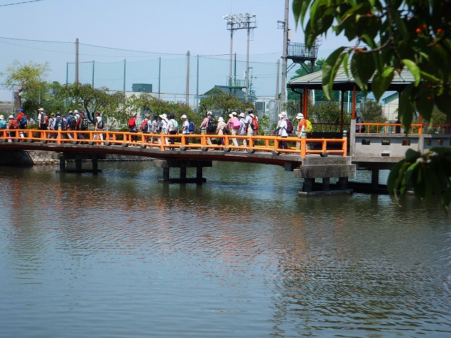 d0048350_1014653.jpg