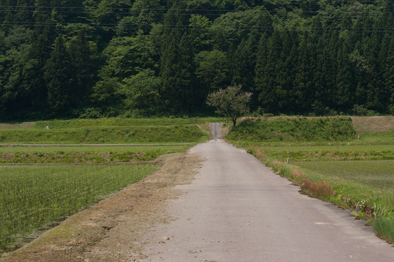 d0342652_14461372.jpg