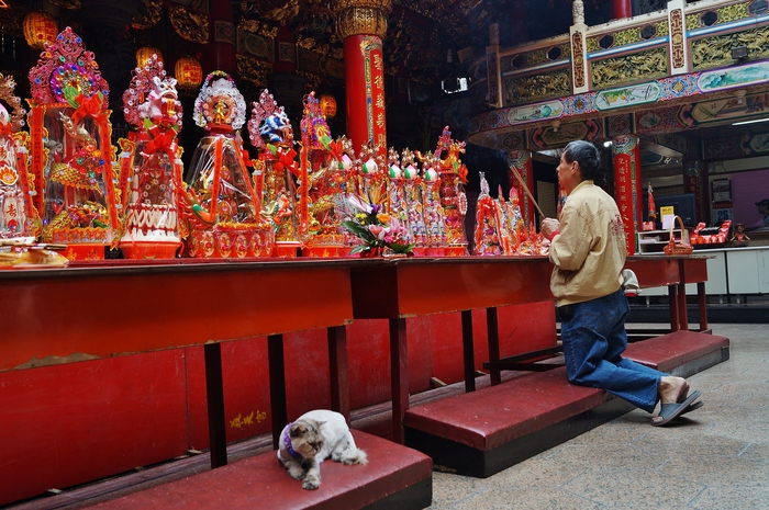 猫まみれ台湾旅行　その１８　三重義天宮と寺猫_b0063958_1954182.jpg