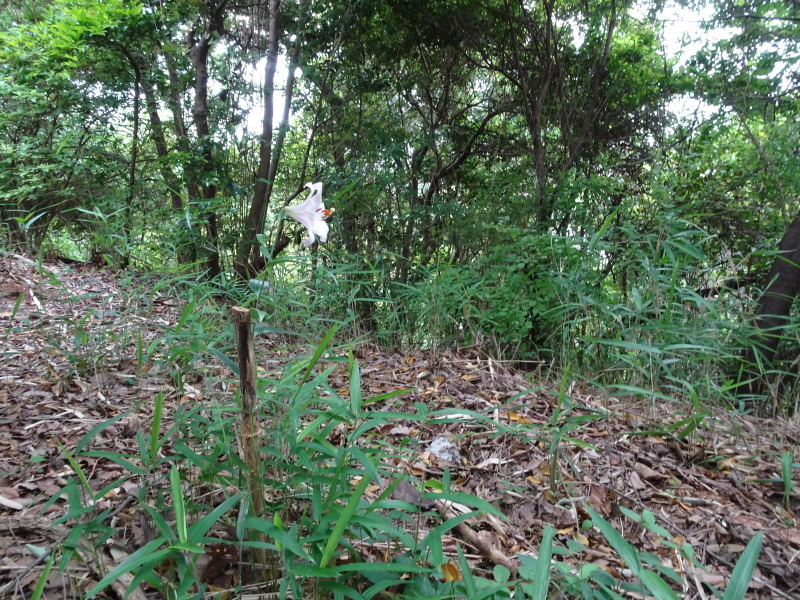 c0108460_00194121.jpg