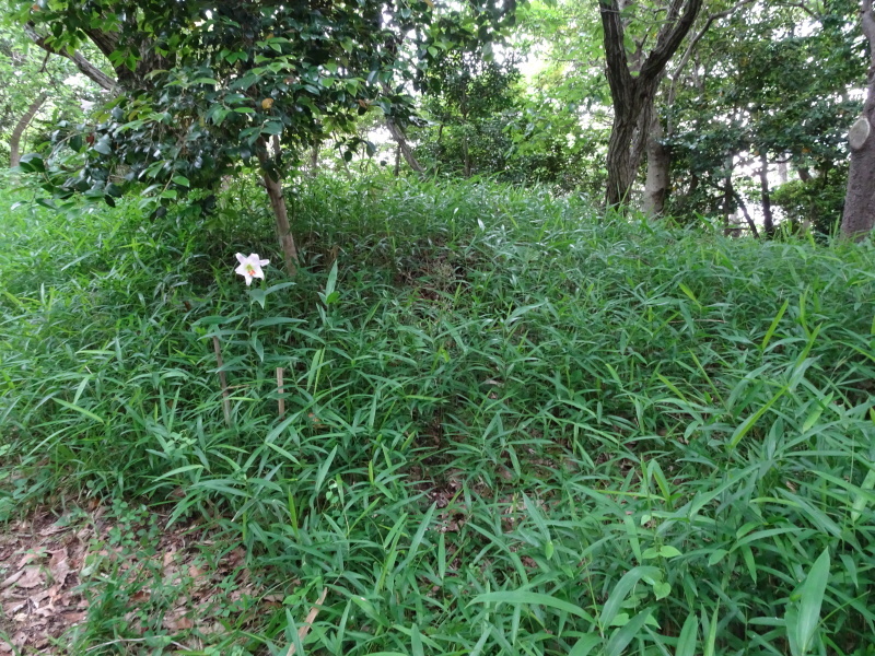 c0108460_21134609.jpg