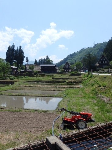 f0350468_10120997.jpg