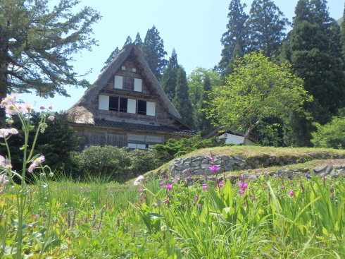 f0350468_10125008.jpg