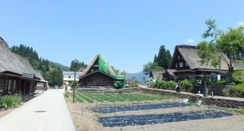 f0350468_10132838.jpg